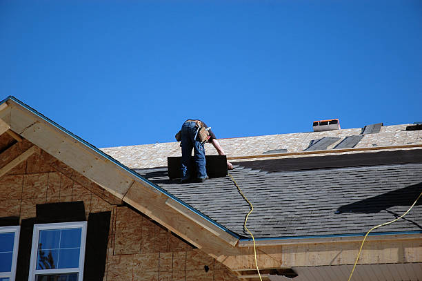 Best Roof Moss and Algae Removal  in Charleston, SC