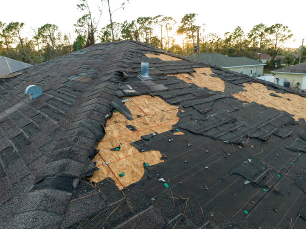 Best Roof Ventilation Installation  in Charleston, SC