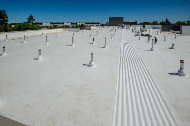 Best Hot Roofs  in Charleston, SC
